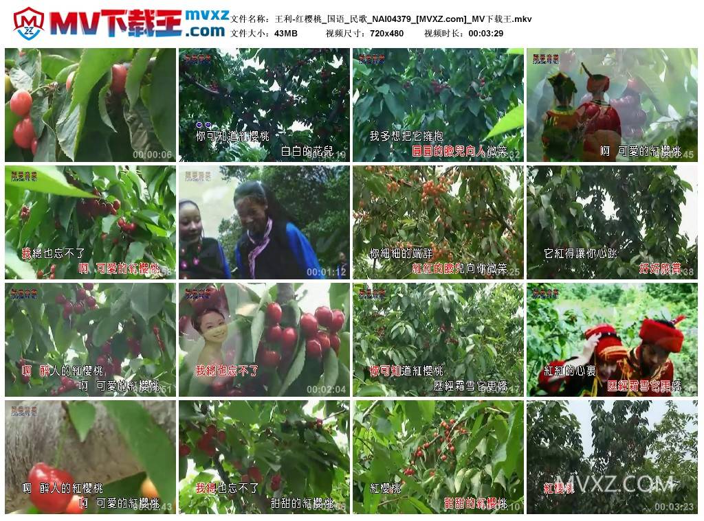 王利-红樱桃_国语_民歌_NAI04379